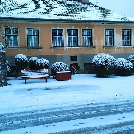 Napraforgo Токай